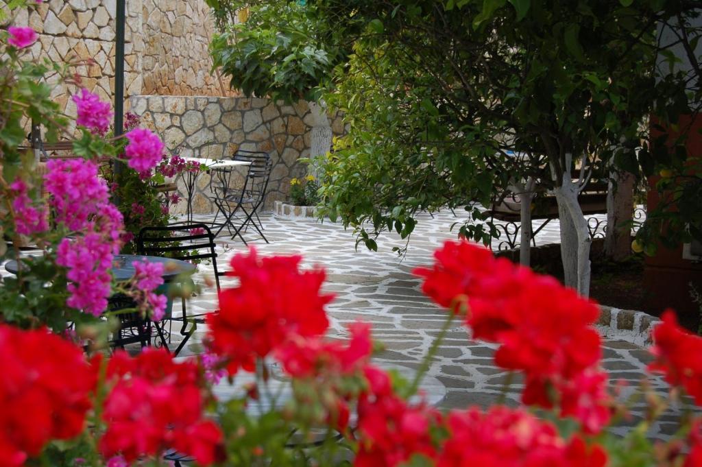 Hotel Villa Marie Szívota Kültér fotó